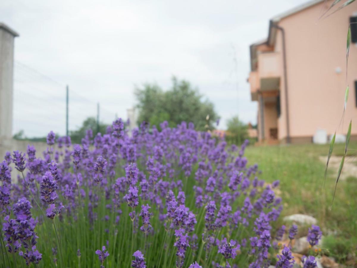 Apartment Lavandula Labin  Exterior foto